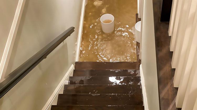 从楼梯上往下看，地下室被水淹了，楼梯底下有一个装满水的水桶.